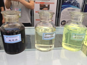 汽車 喝 地溝油,秸稈變清潔燃料 低碳環(huán)保成上海時(shí)髦詞