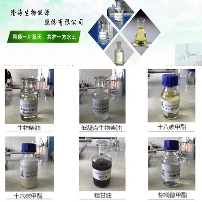 河南隆海生物能源 專注脂肪酸甲酯與生物柴油生產的可靠廠商