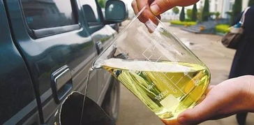 二代生物柴油技術(shù)成熟，如何精準(zhǔn)把握市場(chǎng)機(jī)遇？