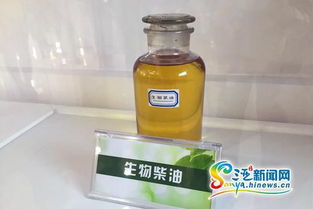 三亞餐廚廢棄物處理項(xiàng)目竣工投產(chǎn) 日處理能力達(dá)100噸