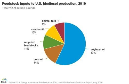 從可再生能源到生物柴油 可持續(xù)能源的新篇章