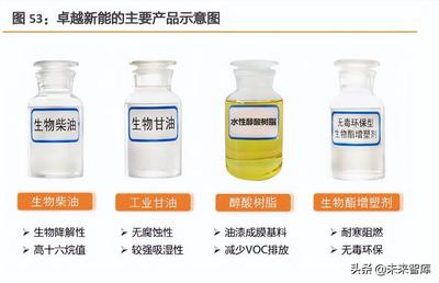 生物柴油行業(yè)專題報(bào)告 減碳大勢(shì)難逆，賽道光華漸顯